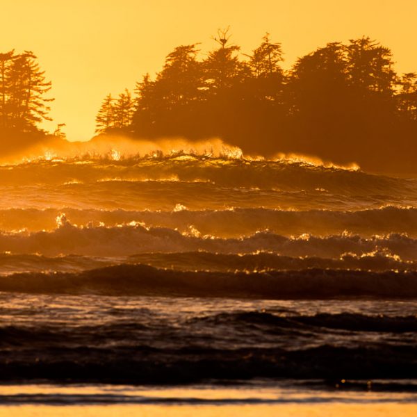 Out The Back © Marcus Paladino