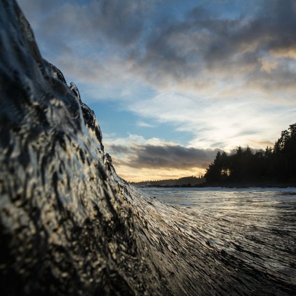 Wonderwall © Marcus Paladino